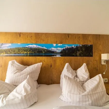 Gaestehaus Cafe Heck 3* Titisee-Neustadt