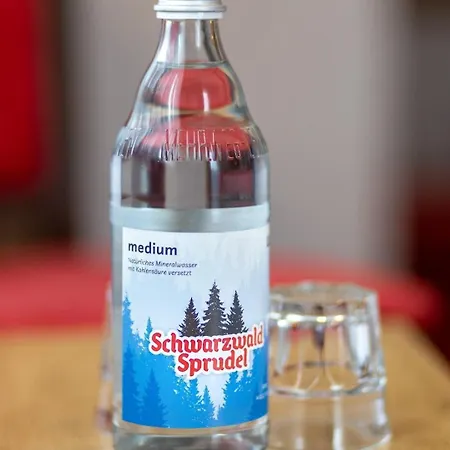 Bed & Breakfast Gaestehaus Cafe Heck Titisee-Neustadt