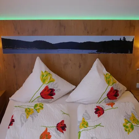 Gaestehaus Cafe Heck 3* Titisee-Neustadt